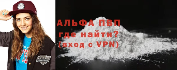 стаф Гусь-Хрустальный