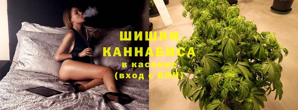 мдпв Дмитровск