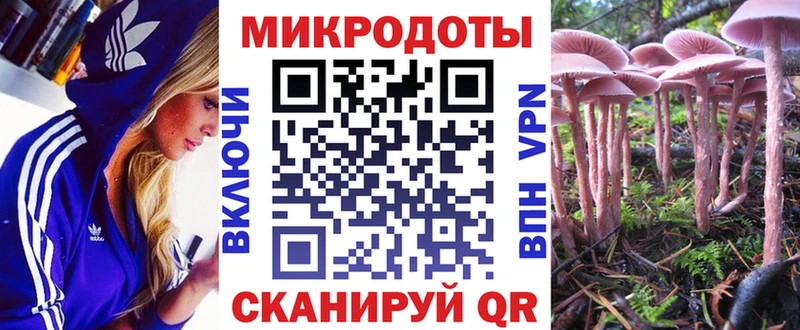 Псилоцибиновые грибы Psilocybine cubensis  купить   Сибай 